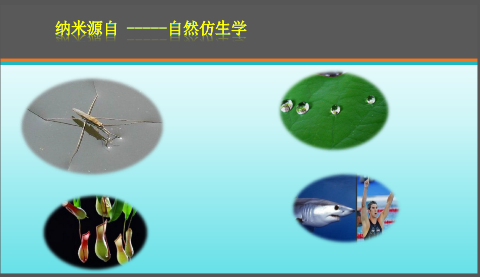 1625746269198396.png gluRC6MgQ4Gjd_M50FJjmw.png